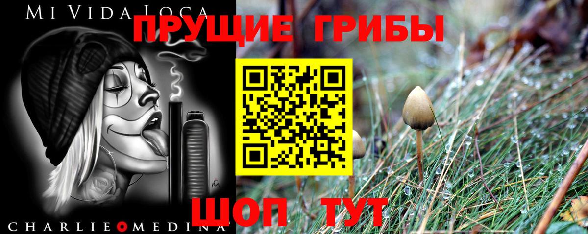 Галлюциногенные грибы Cubensis  хочу наркоту  Кызыл  Вход с VPN 