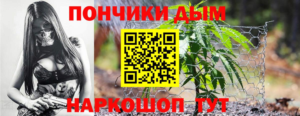 Шишки марихуана ГИДРОПОН Кызыл